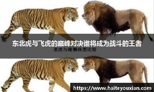 jbo竞博电竞
